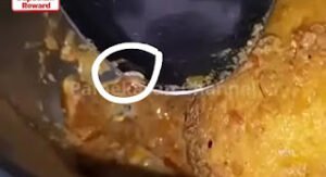 Viral Video Siswa SMAN 3 Pamekasan Temukan Belatung di Menu Makan Bergizi Gratis, Netizen Pertanyakan Kelayakan Program MBG.