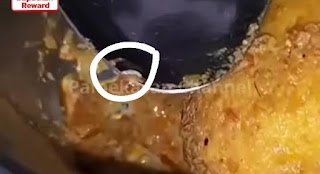 Viral Video Siswa SMAN 3 Pamekasan Temukan Belatung di Menu Makan Bergizi Gratis, Netizen Pertanyakan Kelayakan Program MBG.